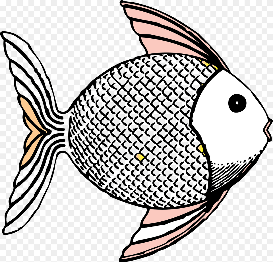 Pike Fish Clipart Picture Royalty Stock Fish Fish Clip Art, Animal, Sea Life, Baby, Person Png