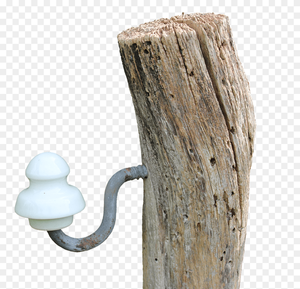Pile Plant, Tree, Wood, Tree Stump Png Image