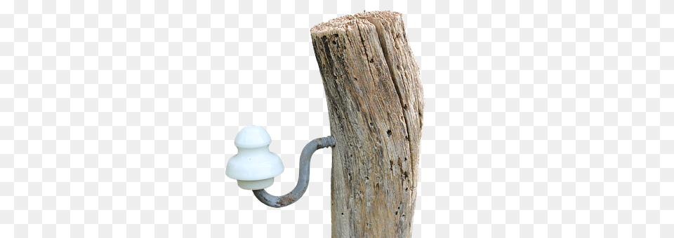 Pile Plant, Tree, Wood, Tree Stump Png Image