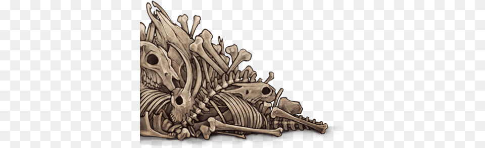 Pile Of Bones, Skeleton, Animal, Fish, Sea Life Png