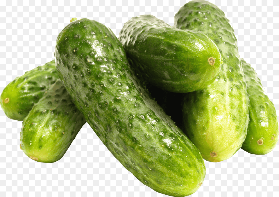 Pile Of Cucumbers Cucumber Pickling, Food, Plant, Produce, Vegetable Png