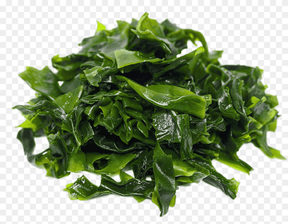 Pile Of Dark Green Seaweed, Plant, Food, Leafy Green Vegetable, Produce Free Png