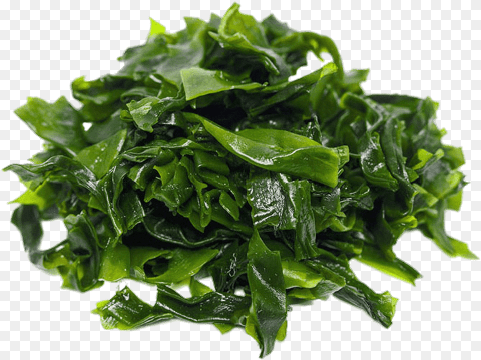 Pile Of Dark Green Seaweed Kleidung Der Zukunft, Plant, Food, Leafy Green Vegetable, Produce Free Png