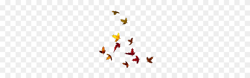Pile Of Leaves Clip Art, Leaf, Plant, Tree, Maple Free Transparent Png