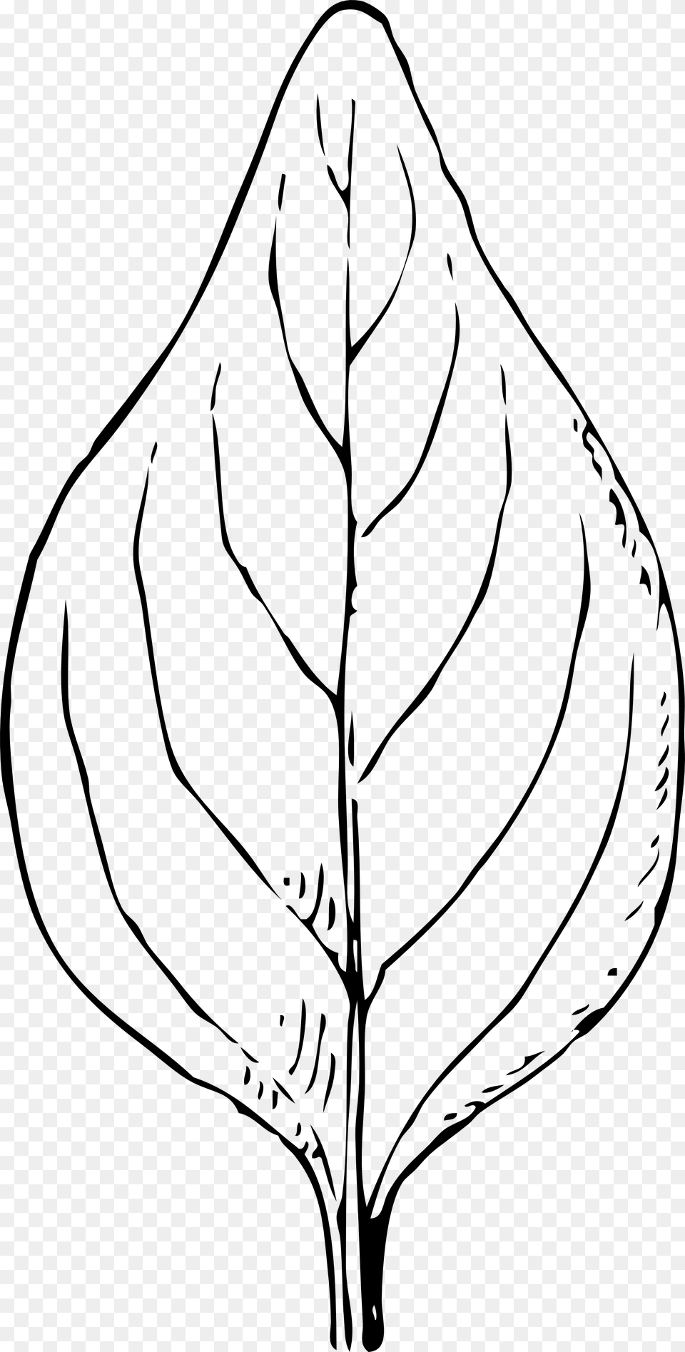 Pile Of Leaves Clip Art Outline Of Leaf, Plant Free Transparent Png