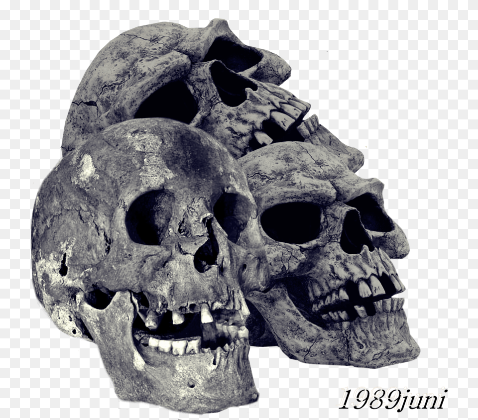 Pile Of Skulls Image Skull Hd Background, Person, Face, Head Free Transparent Png