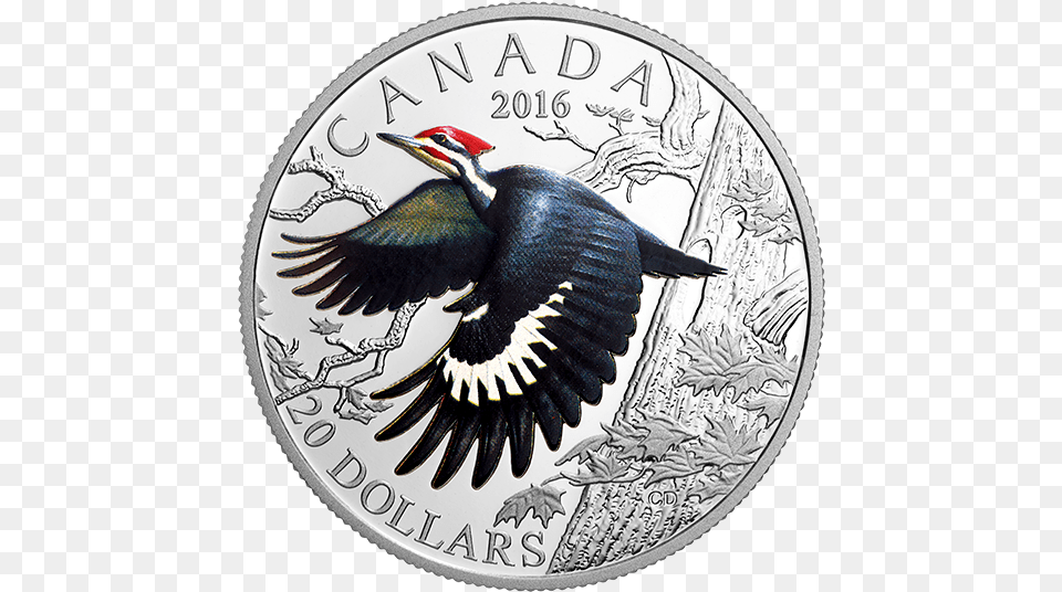 Pileated Woodpecker Coin, Animal, Bird, Money Free Transparent Png