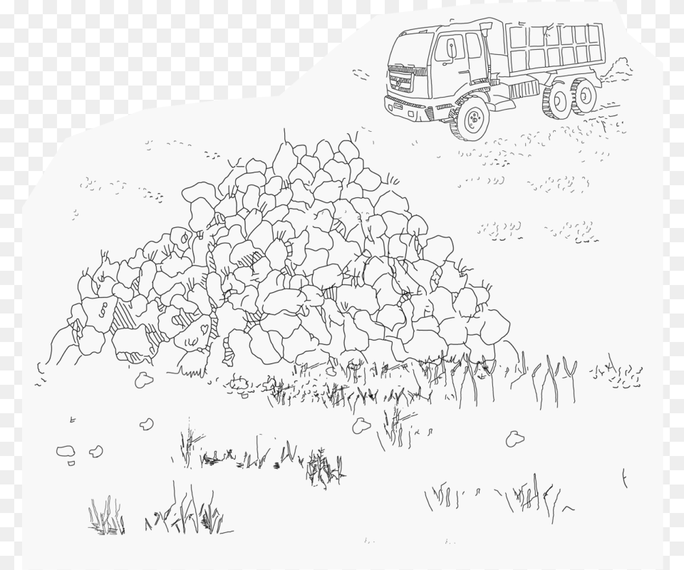 Piles Of Sugar Beets Waiting On The Fields To Be Collected Timeline, Art, Drawing, Doodle, White Board Png