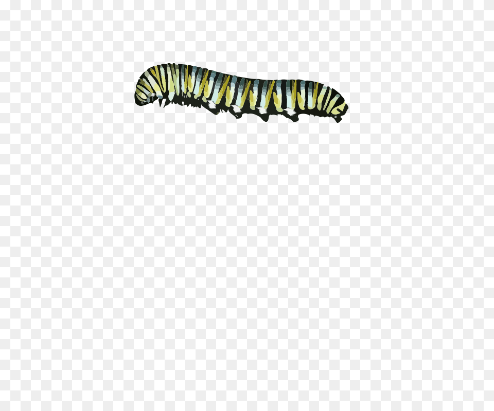 Pillar Clip Art Download, Animal, Invertebrate, Worm, Bee Png