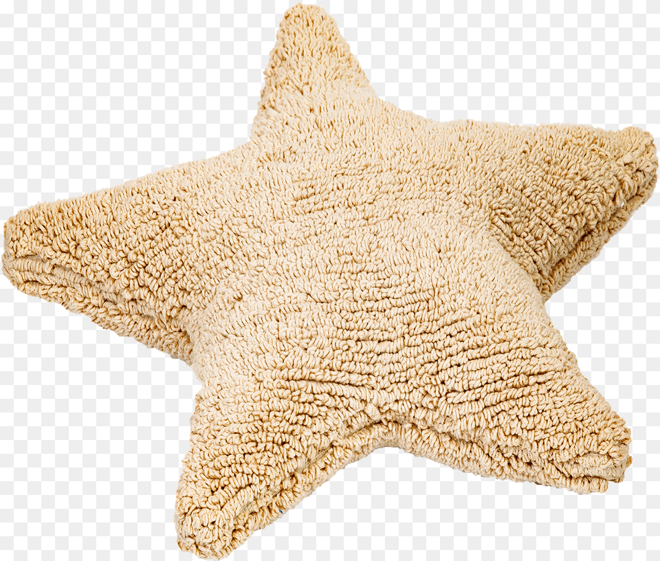 Pillow, Animal, Sea Life, Clothing, Glove Png Image