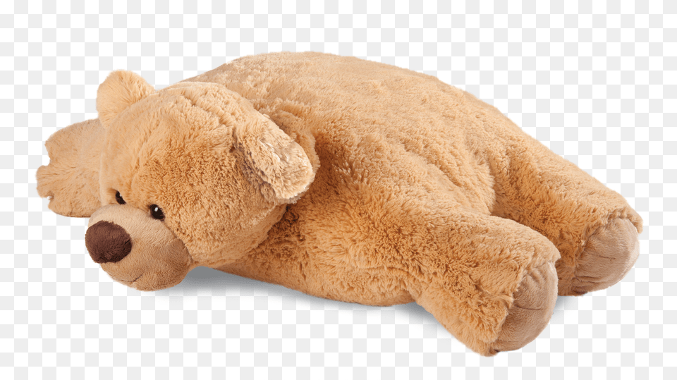 Pillow Bear Teddy Bear, Plush, Toy, Animal, Mammal Png