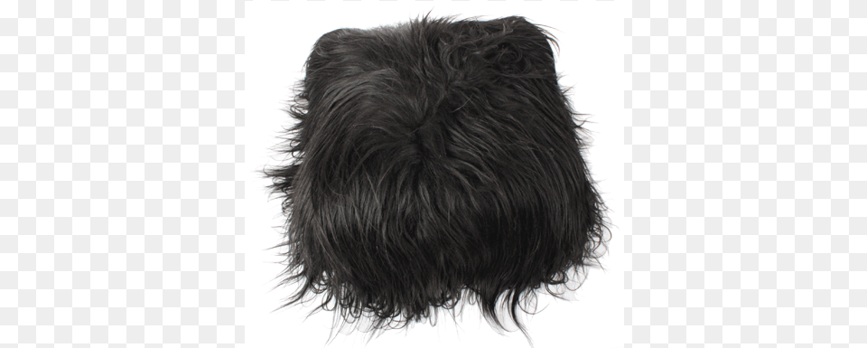 Pillow Icelandic Sheepskin Black 40x40cmid Cloud 689 Lace Wig, Person, Animal, Canine, Mammal Png Image