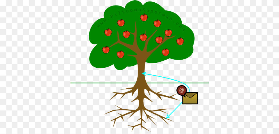 Piltdown Superman Tree Clipart With Roots, Plant, Root Free Png