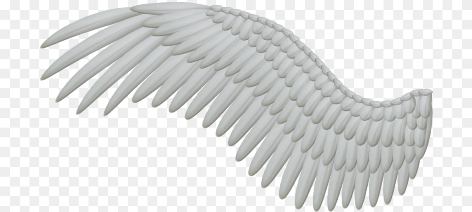 Pin Angels Clipart For Photoshop Angel Wing, Animal, Bird, Vulture, Eagle Free Png
