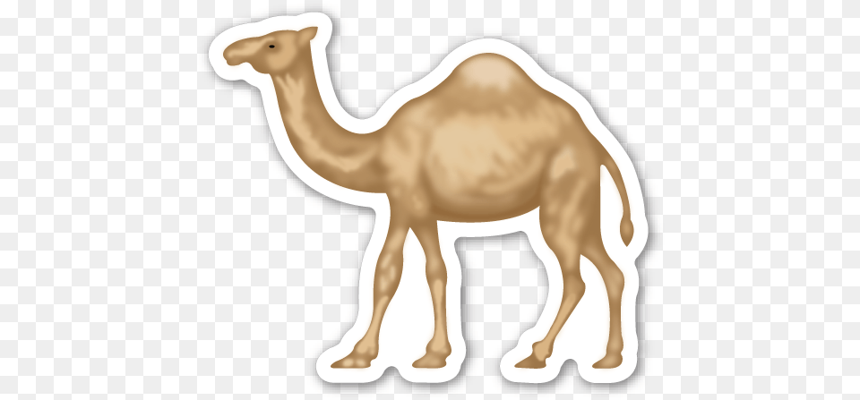 Pin Animals Camel Emoji Sticker, Animal, Mammal, Kangaroo Free Png Download