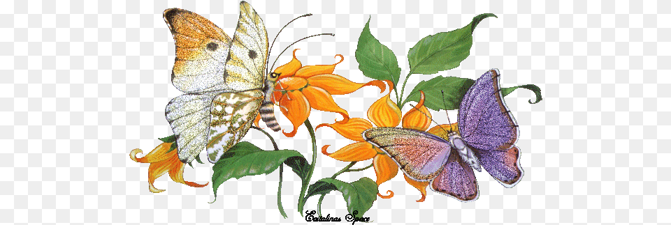 Pin Animated Butterfly Flower Gif, Plant, Animal, Insect, Invertebrate Free Transparent Png