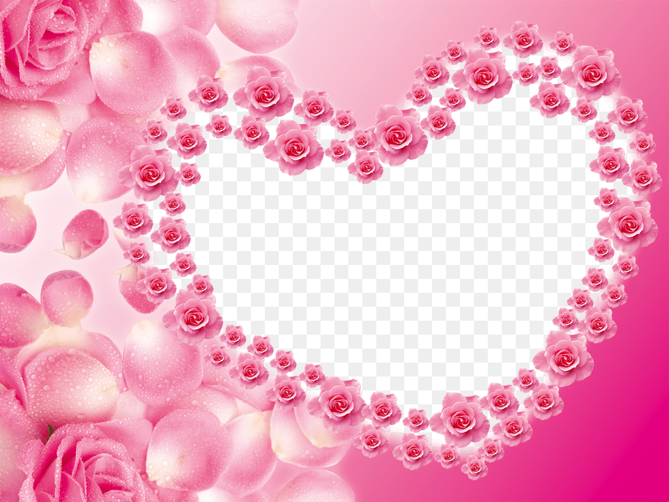 Pin Arabescos Simples E Vetorizados Wallpapers Real Romance, Flower, Plant, Rose, Petal Png Image