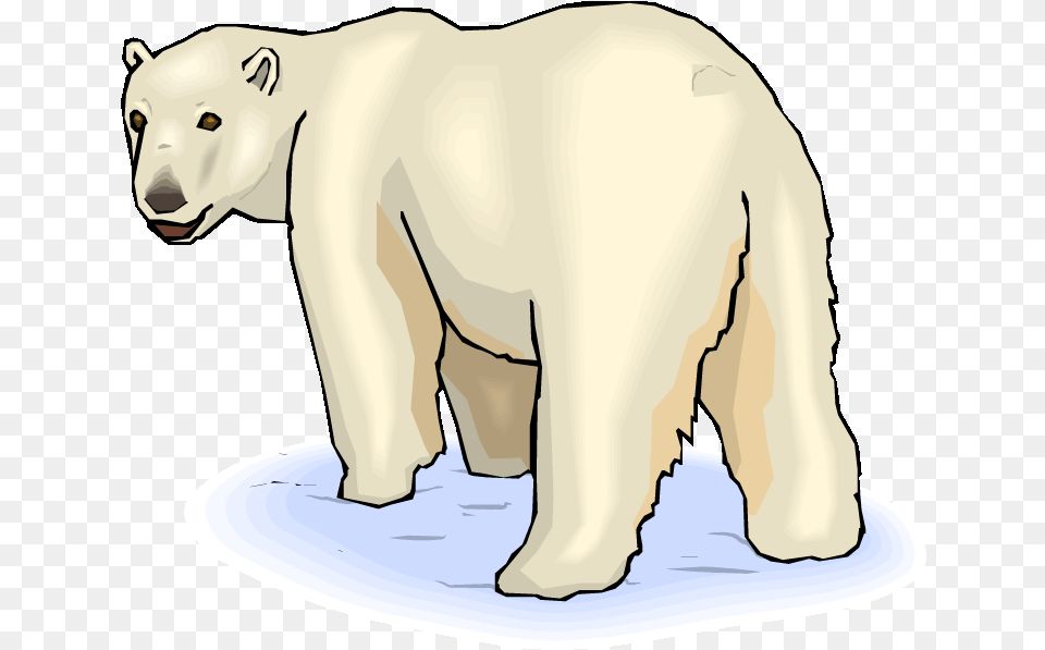 Pin Baby Polar Bear Clipart Polar Bear, Animal, Mammal, Wildlife, Polar Bear Free Png