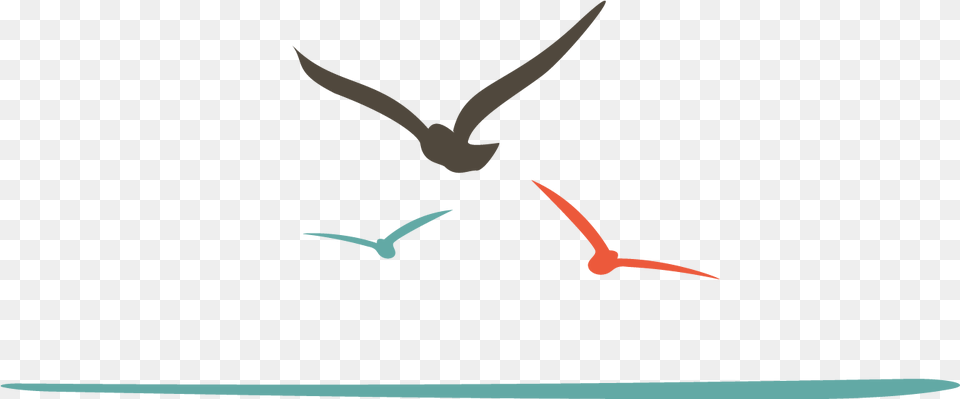 Pin Bird Logo Sea, Animal, Flying, Beak, Kite Bird Free Png Download