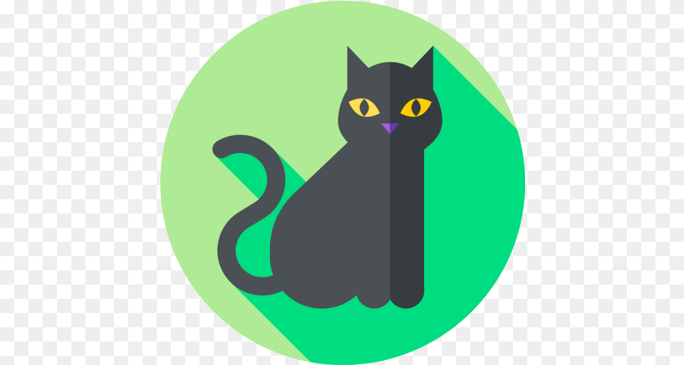 Pin Black Cat, Animal, Mammal, Pet, Black Cat Free Png Download