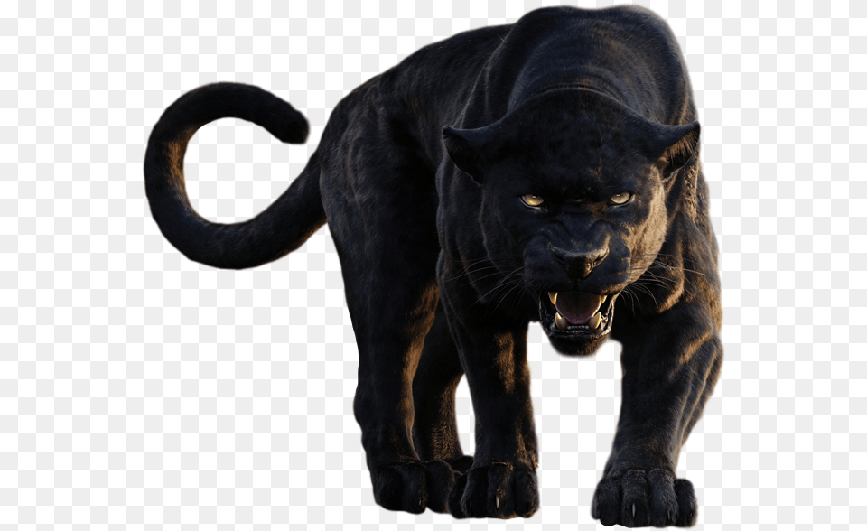 Pin By Alisha Jungle Book Bagheera, Animal, Mammal, Panther, Wildlife Free Transparent Png