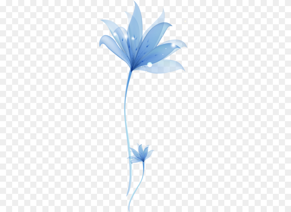 Pin By Ayham Sarrah Blue Flower Clipart Transparent, Leaf, Plant, Petal Free Png