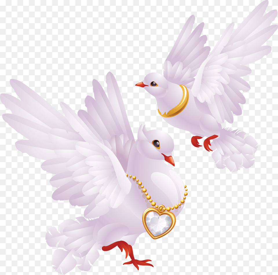 Pin By Aynur Bobaro Lu On Bride Dove For Wedding Transparent Background, Animal, Bird, Pigeon, Accessories Free Png