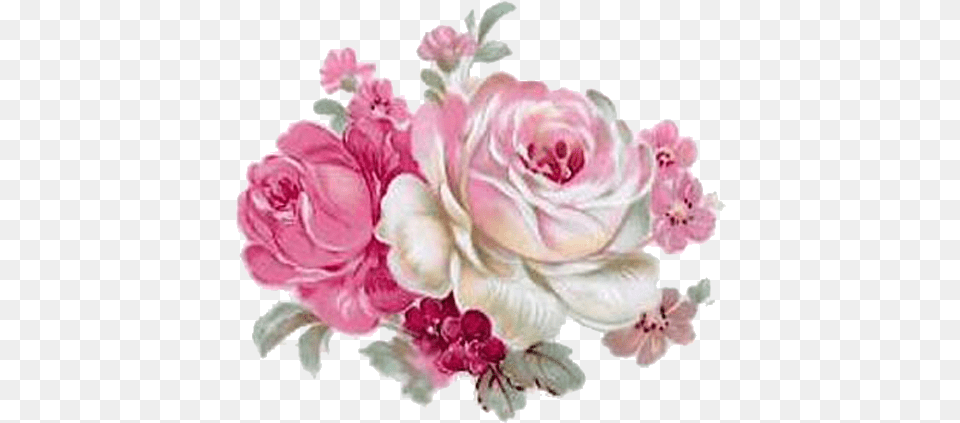 Pin By Beatriz Tartaglia Flor Vintage Rosa, Rose, Plant, Flower, Flower Arrangement Png Image