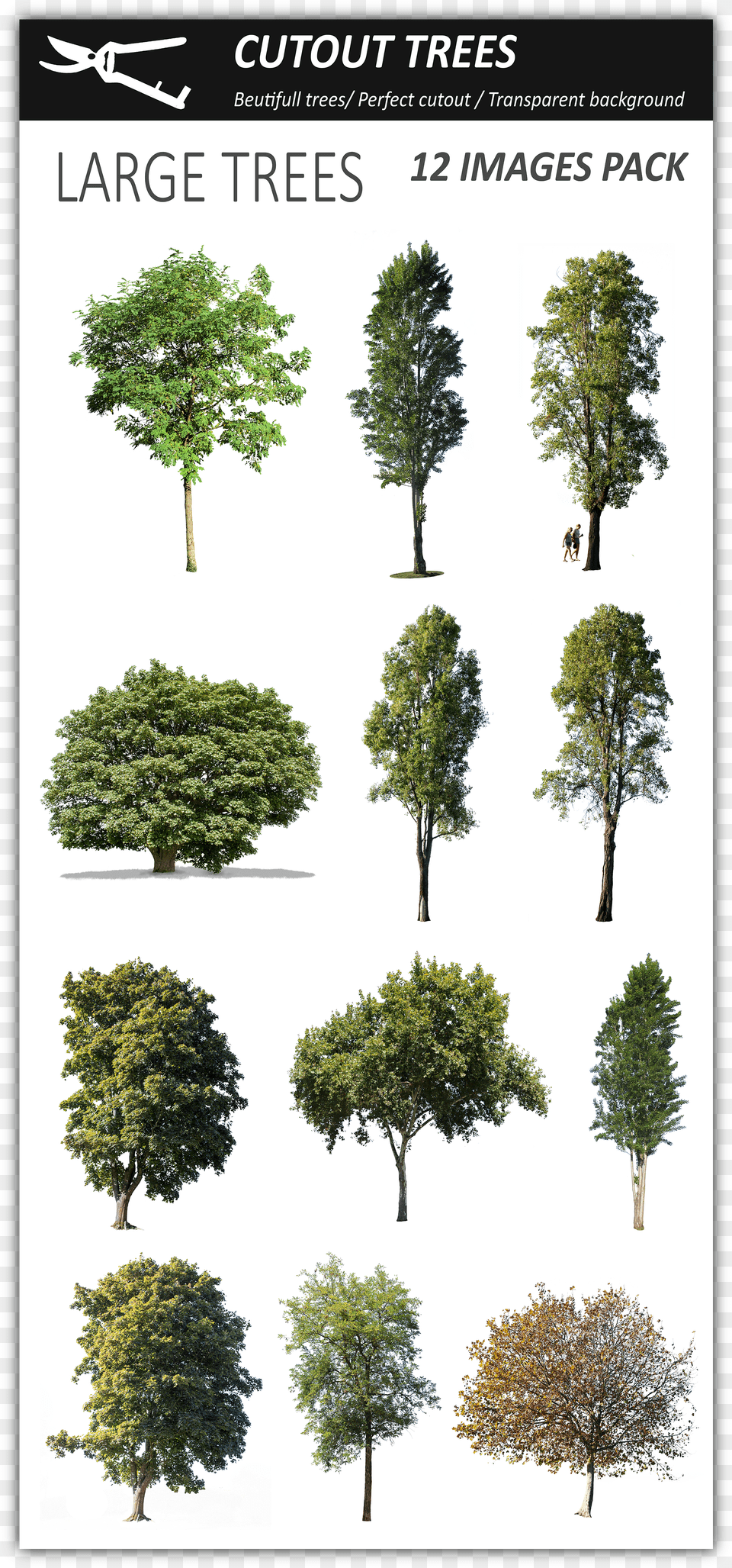 Pin By Cutout Trees On Photoshop Vegetation Perfect Cut Out Tree, Gray Png