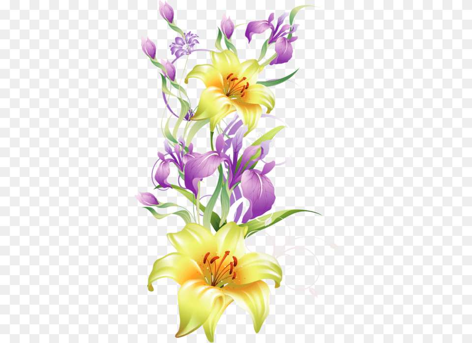 Pin By Evinha On Imagenes De Flores Con Fondo Transparente, Plant, Flower Bouquet, Flower Arrangement, Flower Png