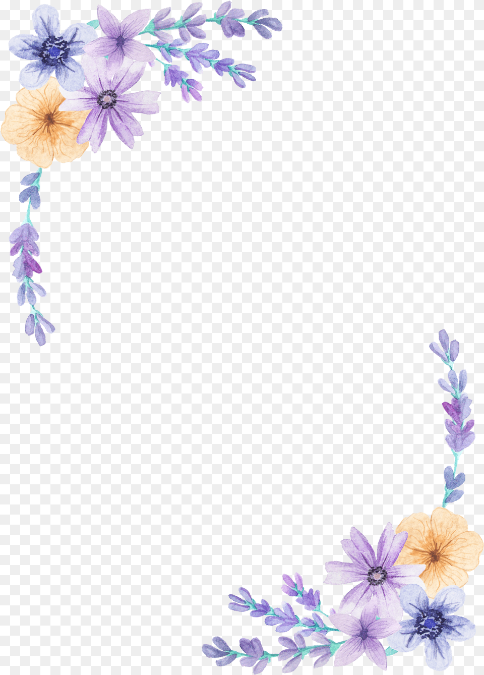 Pin By Gunn Torp On Clips Purple Flower Border, Petal, Plant, Acanthaceae, Geranium Free Transparent Png