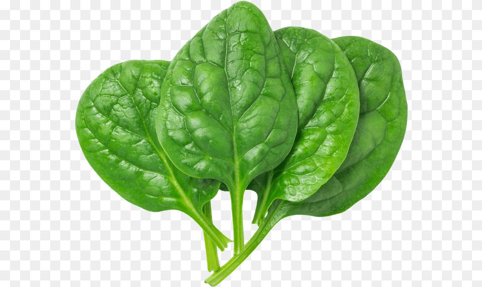 Pin By Image On Foods And Drinks Images Spinach, Food, Leafy Green Vegetable, Plant, Produce Free Transparent Png