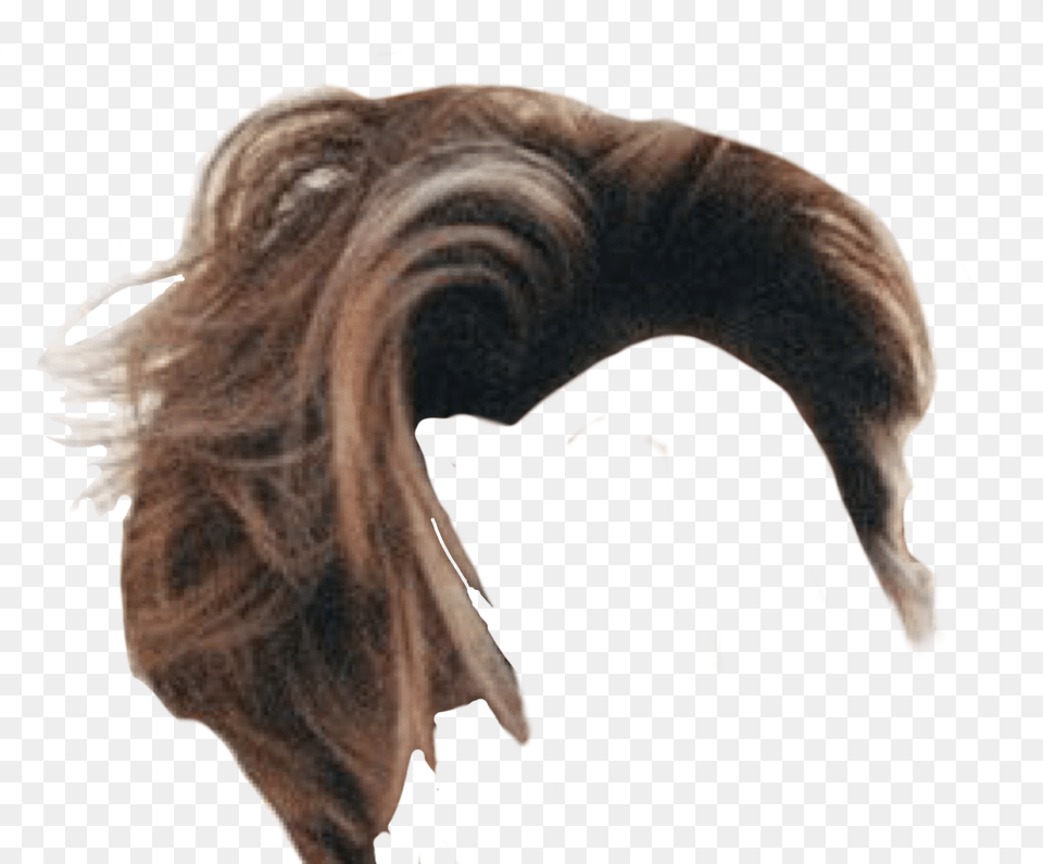 Pin By J Kurtz Niche Memes Hair, Person Free Transparent Png