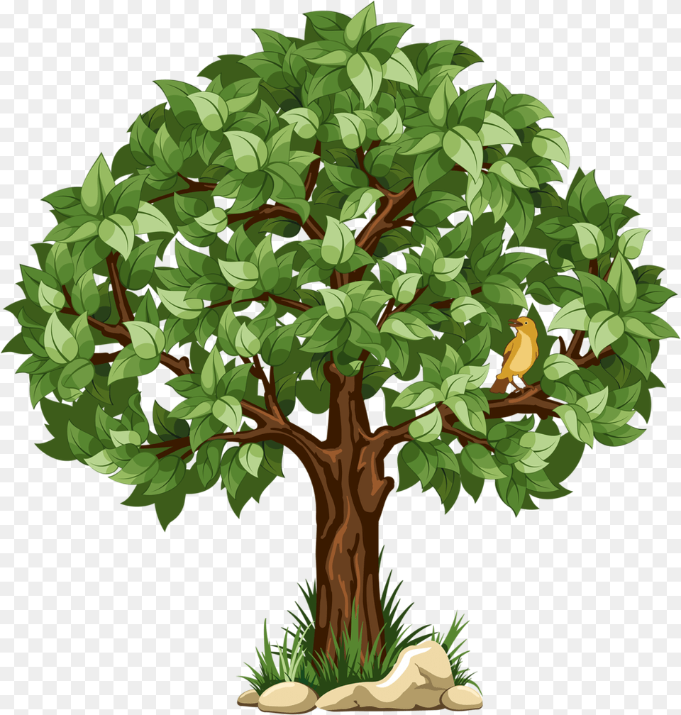 Pin By Judit S Clipart Background Tree, Vegetation, Sycamore, Potted Plant, Plant Png