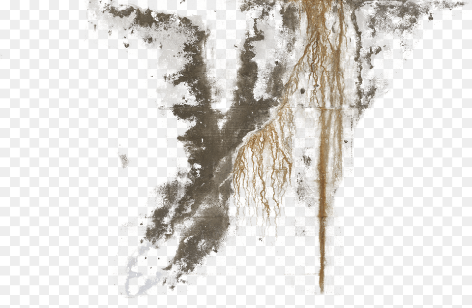 Pin By Lauriane Mtp On Texture Dirt Stain Texture Archaeology, Adult, Female, Person Free Transparent Png