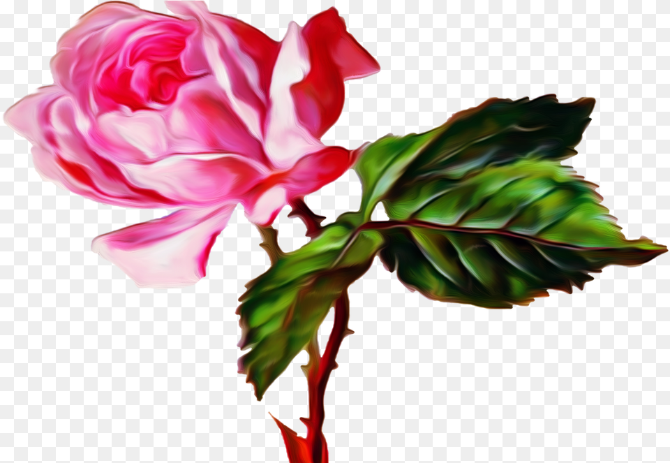 Pin By Lisabwd Digiscrap Pin Freely On Flowersgraphicdigi Gif, Flower, Plant, Rose, Petal Free Png