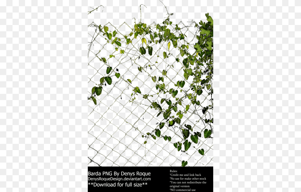 Pin By Louise Brown On Files For Photomanipulations Architecture, Plant, Vine, Fence Png