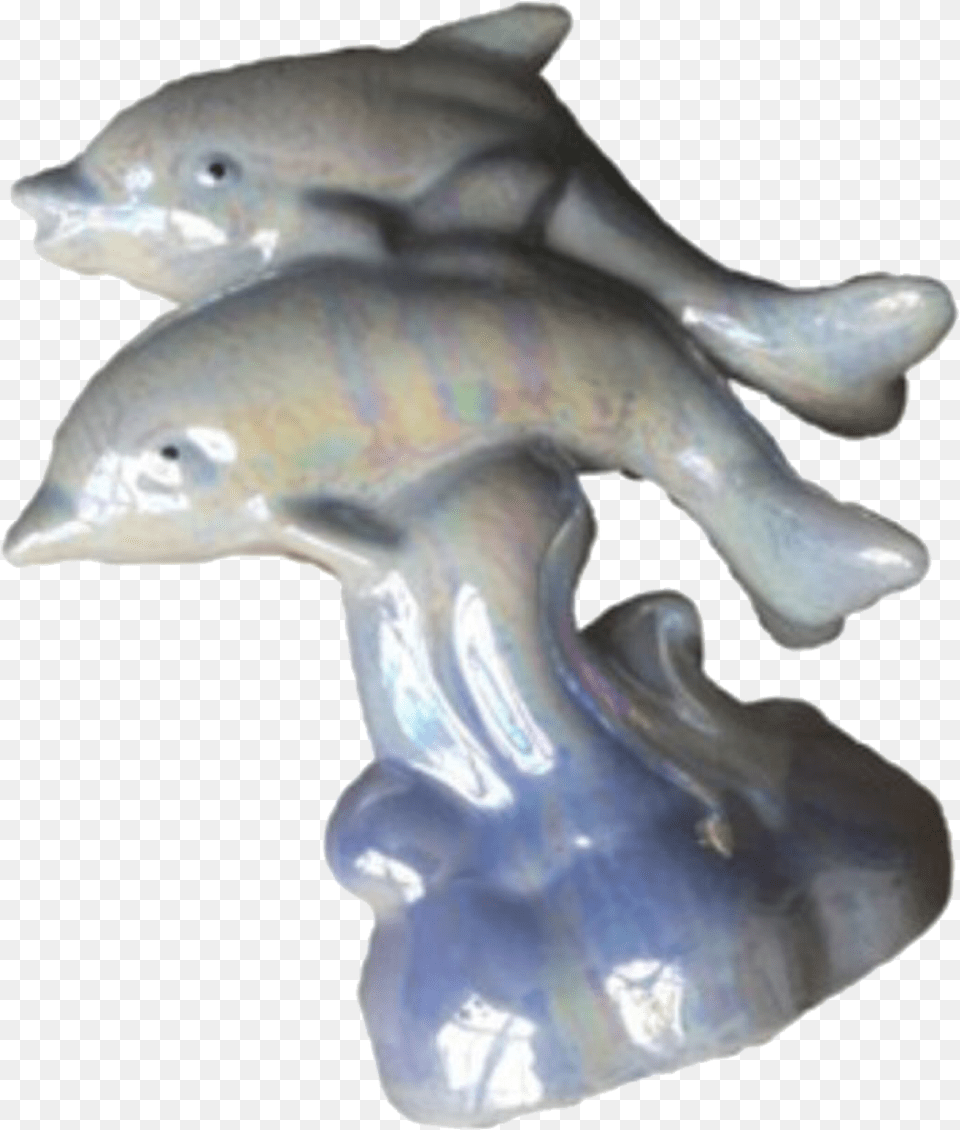 Pin By M O T H Common Bottlenose Dolphin, Accessories, Jewelry, Ornament, Gemstone Free Png Download