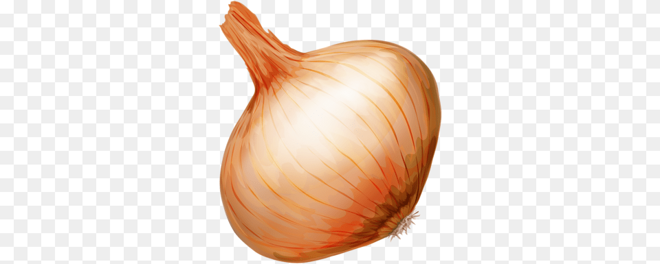 Pin By Mag Da Lna On Gif Plody Cebolla Dibujo, Food, Produce, Onion, Plant Png Image