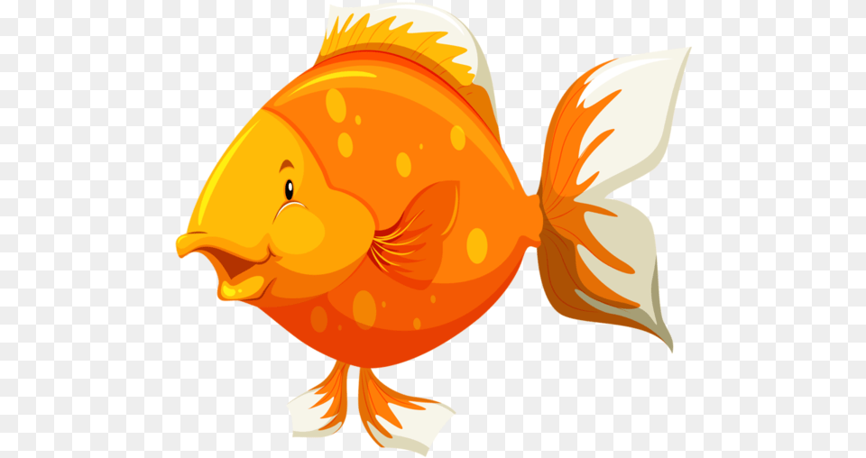 Pin By Marina, Animal, Fish, Sea Life, Goldfish Free Png