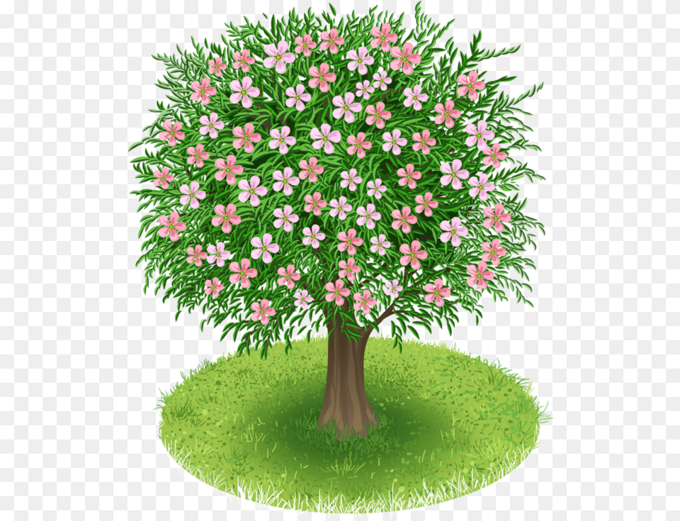 Pin By Melek Sema Tinaz On Nemli Flower Tree Clip Art, Vegetation, Grass, Plant, Outdoors Png
