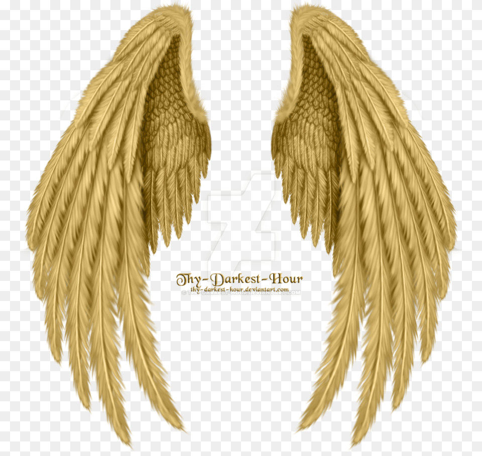 Pin By Missmahsa On Wings In 2019 Golden Angel Wings, Electronics, Hardware, Animal, Bird Png