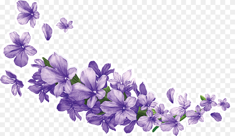 Pin By Parfenos On Lavender Flower Clipart, Plant, Geranium, Purple, Petal Png Image