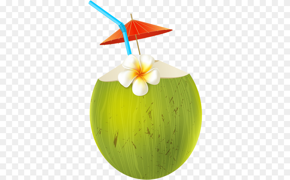 Pin By Shwe Myint On Pictures Green Coconut Cartoon, Food, Fruit, Plant, Produce Free Png