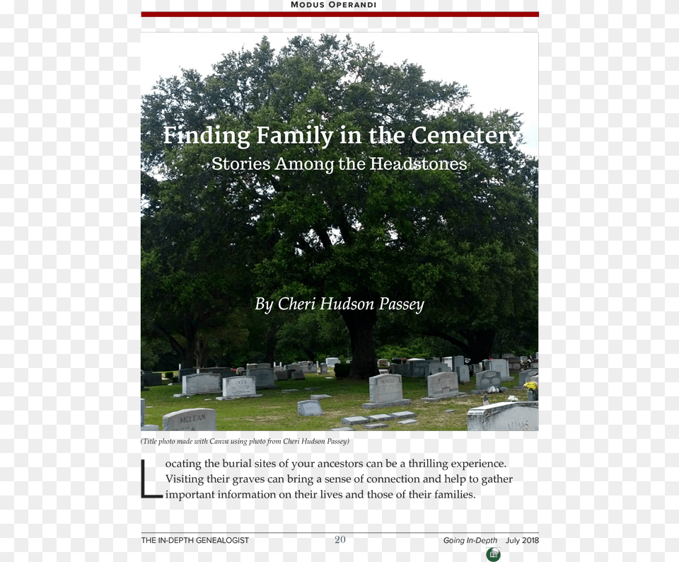 Pin By The In Depth Genealogist On Genealogy Tip Jar Tree, Tomb, Gravestone, Outdoors, Plant Free Transparent Png