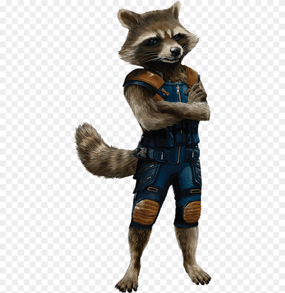 Pin By Trina Arnold On Metropolis Hero1125 Guardians Of The Galaxy Rocket, Animal, Mammal, Cat, Pet Png Image