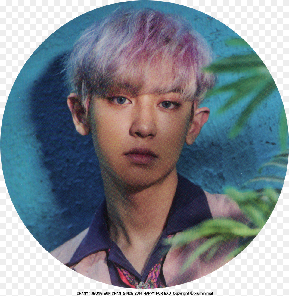 Pin Chanyeol Icon, Boy, Child, Face, Head Png