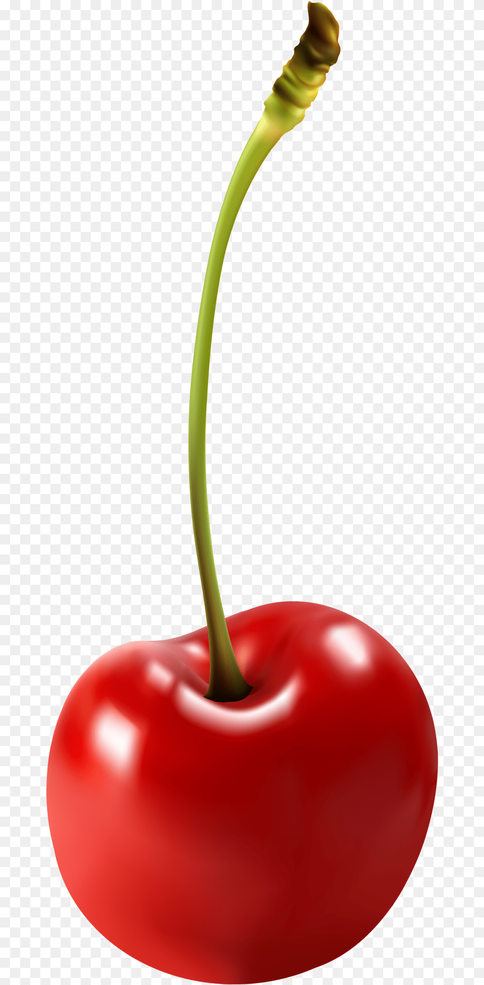 Pin Cherry Clipart Transparen Transparent Clip Art Cherry, Food, Fruit, Plant, Produce Png