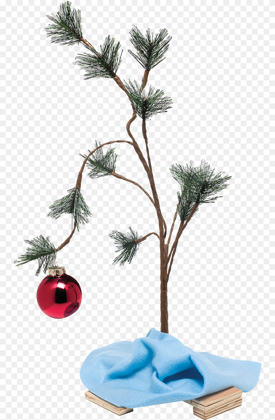 Pin Christmas Day, Plant, Tree, Conifer, Accessories Free Transparent Png