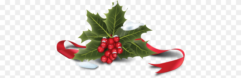 Pin Christmas Holly, Leaf, Plant, Food, Fruit Free Transparent Png
